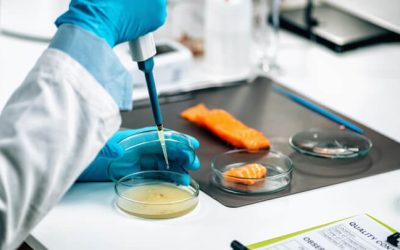 The Importance of Food Lab Testing in Ensuring Quality and Safety