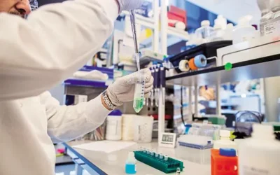 Why The Equity Laboratories Stands Out in the Industry